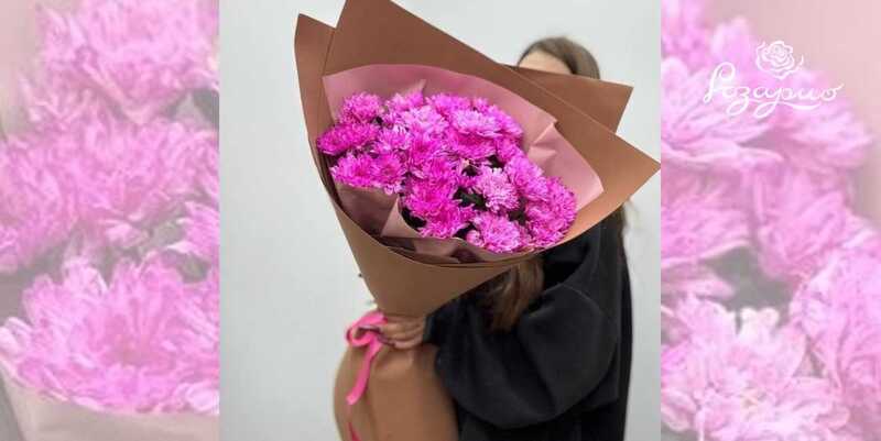 Букет из розовых хризантем, фронтальный вид, в руках у девушки
